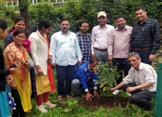 “एक पेड़ पुरानी पेंशन बहाली के नाम” अभियान के तहत NPS कर्मचारियों ने किया पौधारोपण ek ped purani penshan bahali ke nam