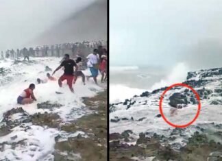 मस्ती भारी पड़ी: विदेश में समुद्र के किनारे छुट्टी मनाने गए भारतीय परिवार को बहा ले गईं लहरें, देखें वीडियो
