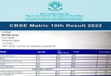 CBSE Class 10th Topper: सीबीएसई 10वीं में मयंक यादव बने टॉपर, 100% अंकों के साथ हासिल की पहली पोजीशन mayank yadav cbse 10th topper