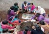 बीज बम अभियान: टिहरी गढ़वाल में महिलाओं, बच्चों व युवाओ ने मिल कर तैयार किये 5000 से ज्यादा बीज बम Women prepared more than 5000 seed bombs in Tehri