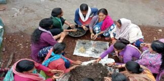 बीज बम अभियान: टिहरी गढ़वाल में महिलाओं, बच्चों व युवाओ ने मिल कर तैयार किये 5000 से ज्यादा बीज बम Women prepared more than 5000 seed bombs in Tehri