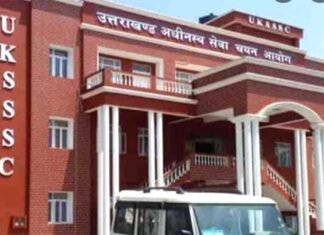 UKSSSC पेपर लीक मामले में इंटर कॉलेज का शिक्षक गिरफ्तार, 42वीं गिरफ्तारी, 19 को मिल चुकी है बेल, ज़मानत के खिलाफ हाई कोर्ट जाएगी एसटीएफ tushar Chauhan arrested in paper leak case