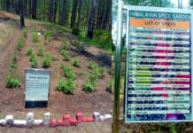 Himalayan Spice Garden: उत्तराखंड में यहाँ बना देश का पहला हिमालयन मसाला गार्डन, जिसमे उगाए जा रहे 30 प्रजातियों के मसाले himalayan-spice-garden-ranikhet
