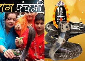नाग पंचमी का पर्व क्यों मनाया जाता है, जानिए इसकी पौराणिक कथा naag-panchami-2022