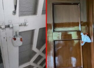 अंकिता हत्याकांड की घटना के बाद नैनीताल में अवैध रूप से संचालित पांच रिसॉर्ट सील illegal resorts sealed in Nainital