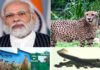 पीएम मोदी आज अपने जन्मदिन पर दिखाएंगे ‘चीतों’ की झलक, 74 साल बाद भारत की जमीं पर फिर दौड़ेंगे चीते