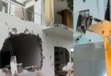 रिसॉर्ट हैं या अय्याशी के अड्डे?, सरकार की नजर राजस्व अर्जित करने पर टिकी है और उत्तराखंड की संस्कृति हो रही है तार-तार vantara-resort-rishikesh-uttarakhand