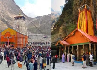 केदारनाथ और यमनोत्री में घोड़ा-खच्चर, हेली और डंडी-कंडी से 211 करोड़ का कारोबार, इस बार चारधाम यात्रा में टूटे कई रिकॉर्ड