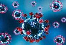 कोरोना के एक और नए वैरिएंट ने एक बार फिर देश में दी दस्तक, बढ़ने लगे केस, त्योहारी सीजन में बढ़ाई चिंता, केंद्र ने जारी किए निर्देश new variant of Corona