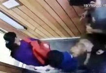 ग्रेटर नोएडा वेस्ट की इस सोसायटी की लिफ्ट में पालतू कुत्ते ने बच्चे पर किया हमला, मां के साथ स्कूल से आ रहा था मासूम, CCTV में कैद हुई घटना, Video देख सहमे लोग Pet dog attacked a child in the lift of La Residency Society, Greater Noida West