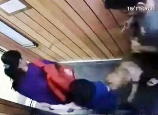 ग्रेटर नोएडा वेस्ट की इस सोसायटी की लिफ्ट में पालतू कुत्ते ने बच्चे पर किया हमला, मां के साथ स्कूल से आ रहा था मासूम, CCTV में कैद हुई घटना, Video देख सहमे लोग Pet dog attacked a child in the lift of La Residency Society, Greater Noida West