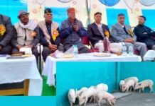 सतपुली के मलेठी में शुरू हुई पिगरी फार्मिंग, स्वरोजगार क्षेत्र में एक और शुरुआत Pigry farming in Satpuli