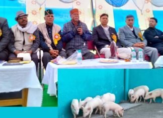 सतपुली के मलेठी में शुरू हुई पिगरी फार्मिंग, स्वरोजगार क्षेत्र में एक और शुरुआत Pigry farming in Satpuli
