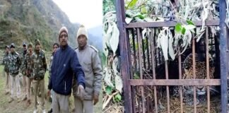 पौड़ी : पिंजरे में कैद हुआ आदमखोर गुलदार, 5 साल के मासूम को बनाया था निवाला guldar caught in cage