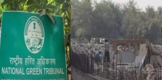 दिल्ली-एनसीआर में खतरनाक स्तर पर पहुंचा प्रदूषण: एनजीटी के आदेश पर यमुना प्राधिकरण में सभी निर्माण कार्य रोके ngt stops all construction work in yamuna area