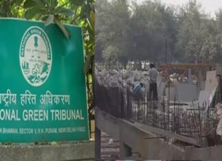 दिल्ली-एनसीआर में खतरनाक स्तर पर पहुंचा प्रदूषण: एनजीटी के आदेश पर यमुना प्राधिकरण में सभी निर्माण कार्य रोके ngt stops all construction work in yamuna area