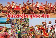 विश्व प्रसिद्ध पुष्कर मेला शुरू : दुनिया का सबसे बड़ा ऊंट फेस्टिवल, राजस्थान की कला संस्कृति के लिए प्रसिद्ध अंतरराष्ट्रीय पुष्कर मेले में आते हैं देश-विदेश से सैलानी pushkar-mela
