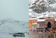 पहाड़ों पर बिछी बर्फ की चादर : उत्तराखंड, हिमाचल और कश्मीर में लगातार हो रही बर्फबारी के बाद मैदानी इलाकों में भी बढ़ी ठंड snowfall in Uttarakhand Himachal and Kashmir