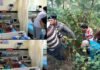 सतपुली-कोटद्वार रोड़ पर कुल्हाड़ बैंड के पास खाई में गिरी कार, दो की मौत, 4 घायल, शादी से लौट रहे थे Car fell into ditch near Satpuli Kulhad band