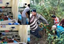 सतपुली-कोटद्वार रोड़ पर कुल्हाड़ बैंड के पास खाई में गिरी कार, दो की मौत, 4 घायल, शादी से लौट रहे थे Car fell into ditch near Satpuli Kulhad band