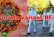 केंद्र के बाद राज्य सरकारें अलर्ट: सितंबर में भारत आ गया था चीनी BF.7 वैरिएंट, जानिए किन प्रदेशों ने क्या-क्या बनाई रणनीति Corona variant BF.7