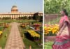 पुरानी रौनक और नए टाइटल के साथ आज से आम जनता के लिए खुलेगा राजधानी दिल्ली में राष्ट्रपति भवन स्थित अमृत उद्यान Amrit Udyan at Rashtrapati Bhavan