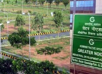 ग्रेटर नोएडा प्राधिकरण ने 186 भूखंडों की योजना की लांच, ऑनलाइन आवेदन शुरू, देखें पूरी डिटेल Greater Noida plot scheme