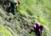 दुखद हादसा: घास लेने गई महिला की चट्टान से गिरकर मौत grass cutting lady