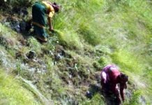 दुखद हादसा: घास लेने गई महिला की चट्टान से गिरकर मौत grass cutting lady