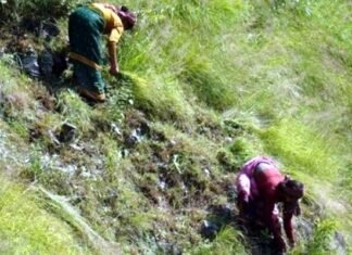 दुखद हादसा: घास लेने गई महिला की चट्टान से गिरकर मौत grass cutting lady