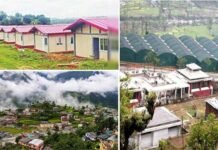 जोशीमठ भू-धंसाव प्रभावितों के पुनर्वास के लिए इन चार जगहों पर भूमि का चयन, देखें लिस्ट land for rehabilitation of Joshimath landslide affected