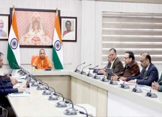 गोशालाओं के लिए बनाएं सेल्फ सस्टेनेबल मॉडल: सीएम योगी self sustainable model for gaushalas