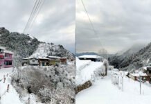 बर्फ की सफेद चादर से ढकी उत्तराखंड की पहाड़ियां, बर्फ देखने मसूरी, धनोल्टी निकल पड़े पर्यटक, जोशीमठ में बर्फबारी से बढ़ी दुश्वारियां