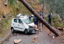 पौड़ी गढ़वाल: चलती कार पर गिरा चीड़ का भारी भरकम पेड़ pine tree fell on car