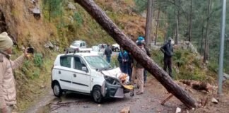 पौड़ी गढ़वाल: चलती कार पर गिरा चीड़ का भारी भरकम पेड़ pine tree fell on car