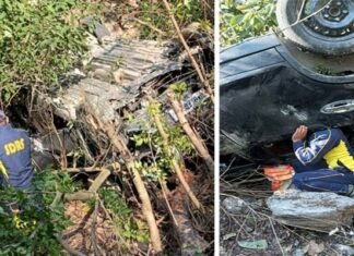 पौड़ी कोटद्वार राजमार्ग पर पाटीसैण के समीप खाई में गिरी कार Car fell into ditch near Patisain on Pauri Kotdwar