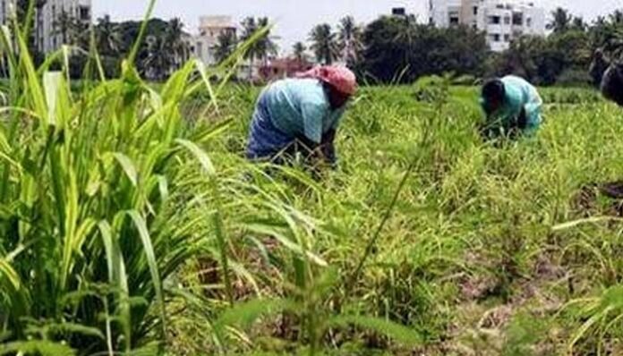 How will the income of the farmers be doubled?