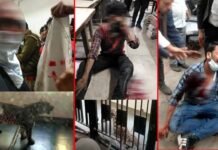 गाजियाबाद कोर्ट में घुसा तेंदुआ, कई लोगों को किया लहूलुहान, वीडियो वायरल Leopard enters Ghaziabad court