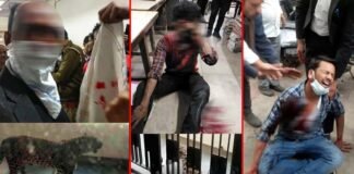 गाजियाबाद कोर्ट में घुसा तेंदुआ, कई लोगों को किया लहूलुहान, वीडियो वायरल Leopard enters Ghaziabad court