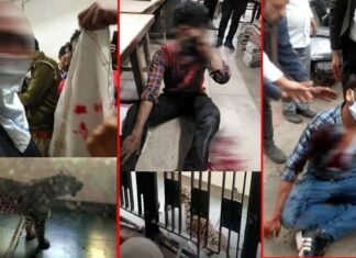 गाजियाबाद कोर्ट में घुसा तेंदुआ, कई लोगों को किया लहूलुहान, वीडियो वायरल Leopard enters Ghaziabad court