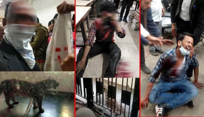 Leopard-enters-Ghaziabad-court Leopard enters Ghaziabad court