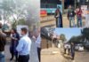 ग्रेटर नोएडा में सफाई के लिहाज से तय होगा सफाई कर्मियों का एरिया, एसीईओ मेधा रूपम ने दिए निर्देश cleanliness in Greater Noida