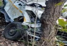 दुखद: खाई में गिरा मैक्स वाहन, चालक की मौत max fell in deep ditch near chaubattakhal
