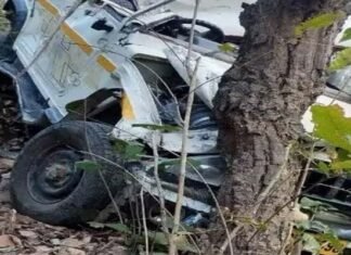 दुखद: खाई में गिरा मैक्स वाहन, चालक की मौत max fell in deep ditch near chaubattakhal