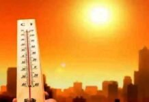 सर्दियों की विदाई: फरवरी महीने में सताने लगी गर्मी, गर्म कपड़े पैक होने लगे, दिल्ली-एनसीआर समेत कई राज्यों में बढ़ा तापमान