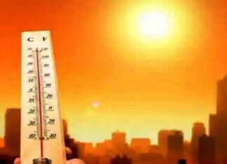 सर्दियों की विदाई: फरवरी महीने में सताने लगी गर्मी, गर्म कपड़े पैक होने लगे, दिल्ली-एनसीआर समेत कई राज्यों में बढ़ा तापमान