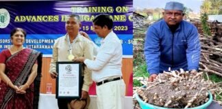 उत्तराखंड के किसान ने जैविक खेती कर हल्दी के एक पौधे से 25 किलोग्राम हल्दी पैदाकर वर्ल्ड ग्रेटेस्ट रिकॉर्ड में किया नाम दर्ज 25 kg of turmeric from one turmeric plant