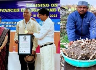 उत्तराखंड के किसान ने जैविक खेती कर हल्दी के एक पौधे से 25 किलोग्राम हल्दी पैदाकर वर्ल्ड ग्रेटेस्ट रिकॉर्ड में किया नाम दर्ज 25 kg of turmeric from one turmeric plant