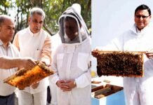 देहरादून : मुख्यमंत्री आवास परिसर में 22 दिनों के अन्तराल में 40 किलो शहद का उत्पादन 40 kg honey in CM housing complex
