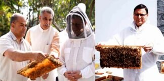देहरादून : मुख्यमंत्री आवास परिसर में 22 दिनों के अन्तराल में 40 किलो शहद का उत्पादन 40 kg honey in CM housing complex